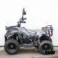 Электроквадроцикл SHERHAN 300 LITE
