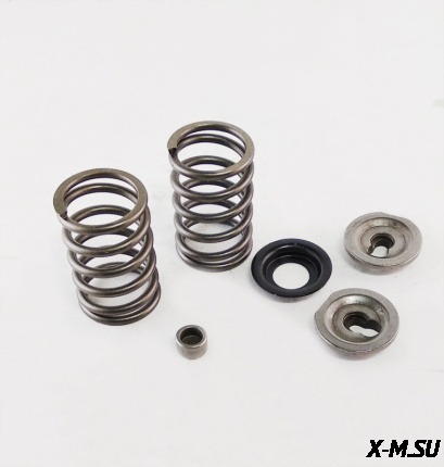Пружины+тарелки клапанов (компл.) 177F