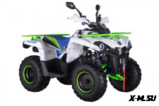 Квадроцикл ROCKOT Hammer 200 Premium