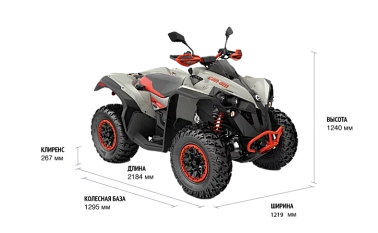 Квадроцикл BRP CAN-AM RENEGADE X XC T 1000