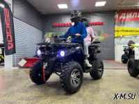 Квадроцикл PROMAX RENEGADE 300 LONG WINCH PRO (2025)