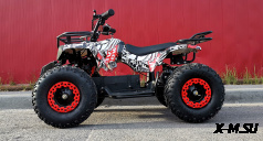 Квадроцикл PROMAX E-MINI 2.0 1500W