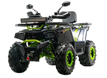 Квадроцикл MOTOLAND (МОТОЛЕНД)  VOX200 WILD TRACK X WINCH (баланс. вал)