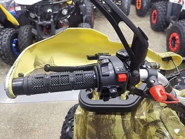 Квадроцикл PROMAX STORM 190 PRO