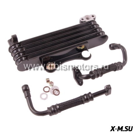 Радиатор масляный 156FMJ (в сборе); TTR150