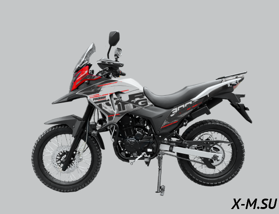 Мотоцикл PROMAX TOURING PR300