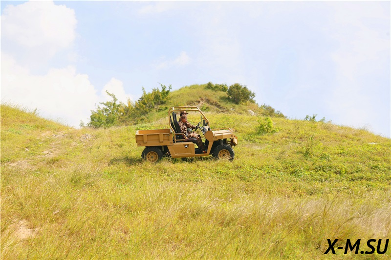 Мотовездеход (UTV/БАГГИ) AODES Desertcross 1000CC-3