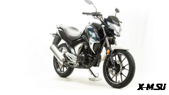 Мотоцикл MOTOLAND (МОТОЛЕНД) FIGHTER 250